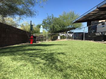 Pet Park at Ascend at Red Mountain, Mesa, 85215
